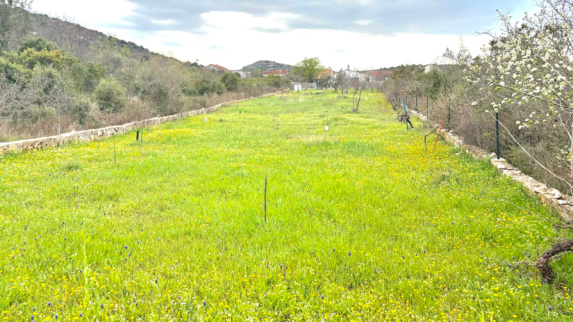 GRAĐEVINSKO ZEMLJIŠTE / GAĆELEZI / 1.162m2